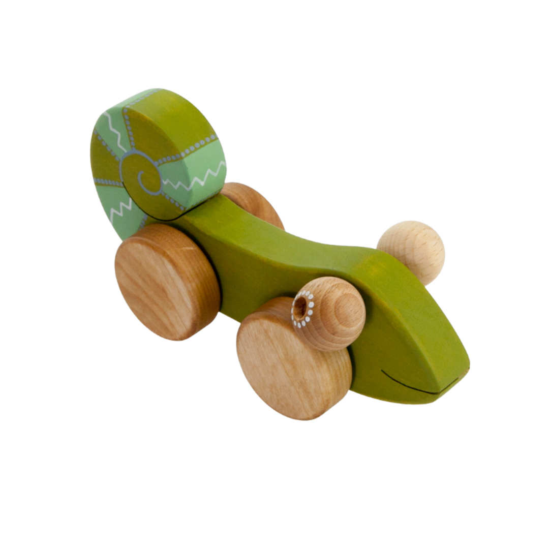 Houten Kameleon