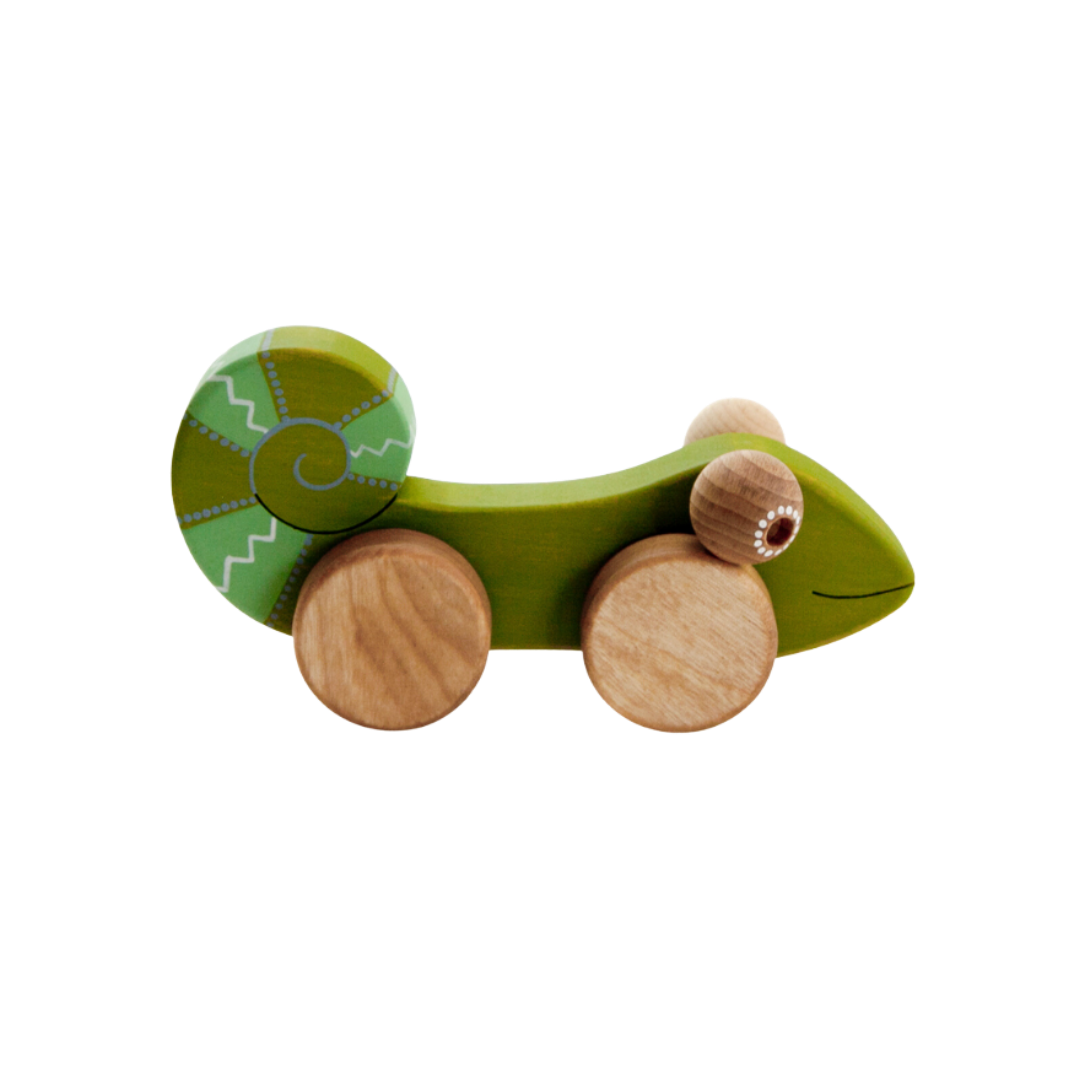 Houten Kameleon