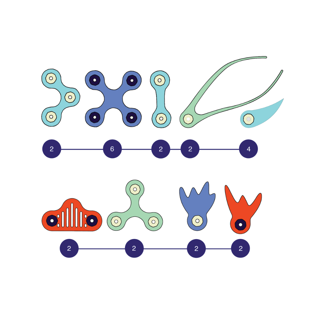 Ocean Creatures Expedition Pack | Set van 24
