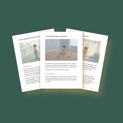 Rust in het Kinderbrein - de Decembergids - Sinterklaas & Kerst (E-Book)